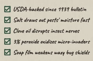 Pasted image 20260612155836.png